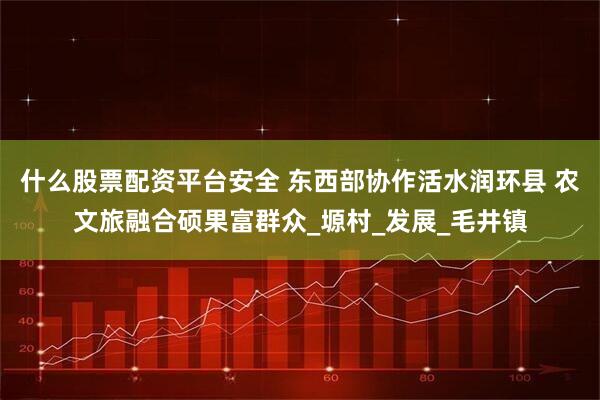 什么股票配资平台安全 东西部协作活水润环县 农文旅融合硕果富群众_塬村_发展_毛井镇