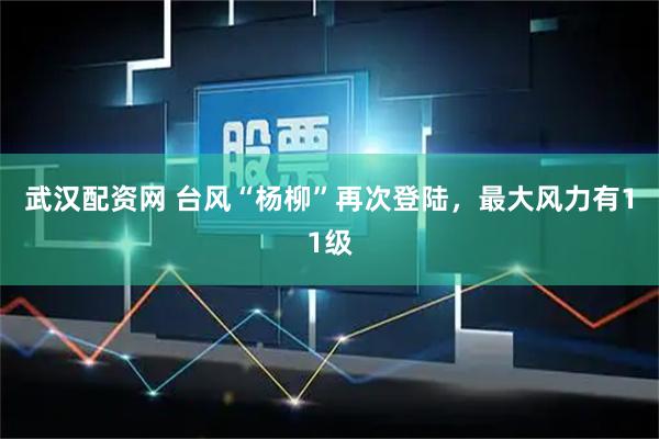 武汉配资网 台风“杨柳”再次登陆，最大风力有11级